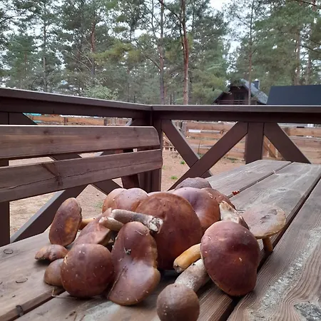 Holiday home Worusiowy Gaj