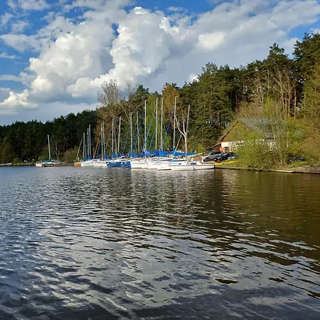 Worusiowy Gaj Holiday home Borsk
